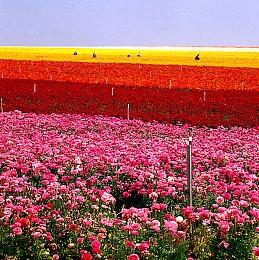 强制滚动平台游戏《魔法疾奔》 现已在Steam发售